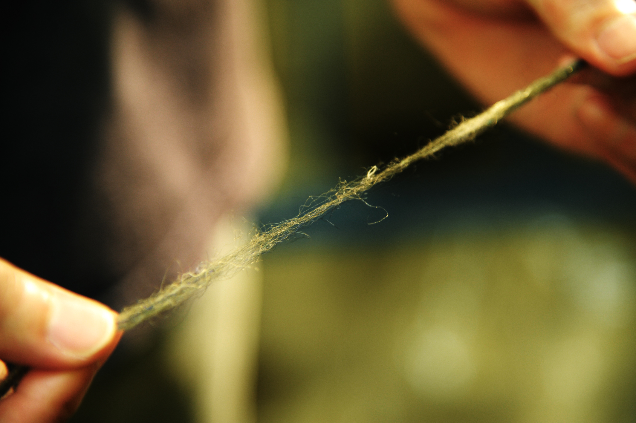 3--Carding - streching sliver to check